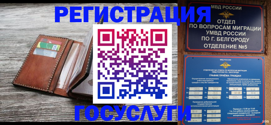 временная регистрация гарантия в Зеленокумске